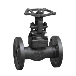 Gate valve - Safety Valve & Fittings - Current page 1